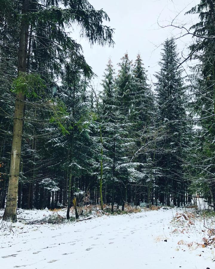 Beskid Wood Houses Jasnowice Buitenkant foto